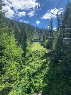 A cable car system in a forested area with a clear sky.