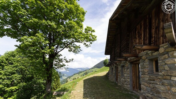 A rustic stone building with a wooden exterior, a dirt path leading to it, and a large tree on the left. - LA VARNIERE - BEAUFORT ARECHES (BEAUFORT ARECHES)