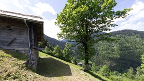 A rustic wooden building with a sloped roof, surrounded by a lush green landscape and a dense forest in the background. - LA VARNIERE - BEAUFORT ARECHES (BEAUFORT ARECHES)