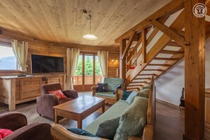 智能电视、壁炉、DVD 播放器