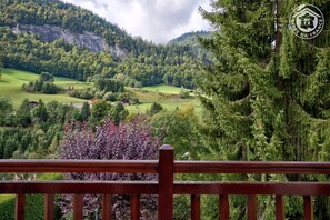 Property grounds - LE VAL D'ARLY - FLUMET (FLUMET)