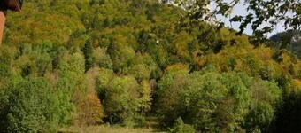 LA MICHELINE - SAINT PIERRE D'ENTREMONT