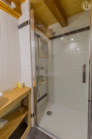 Shower, hair dryer