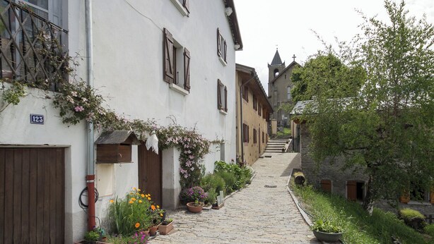 Eine enge Kopfsteinpflasterstraße gesäumt von traditionellen Gebäuden, einige mit Blumenkästen und Grünpflanzen.