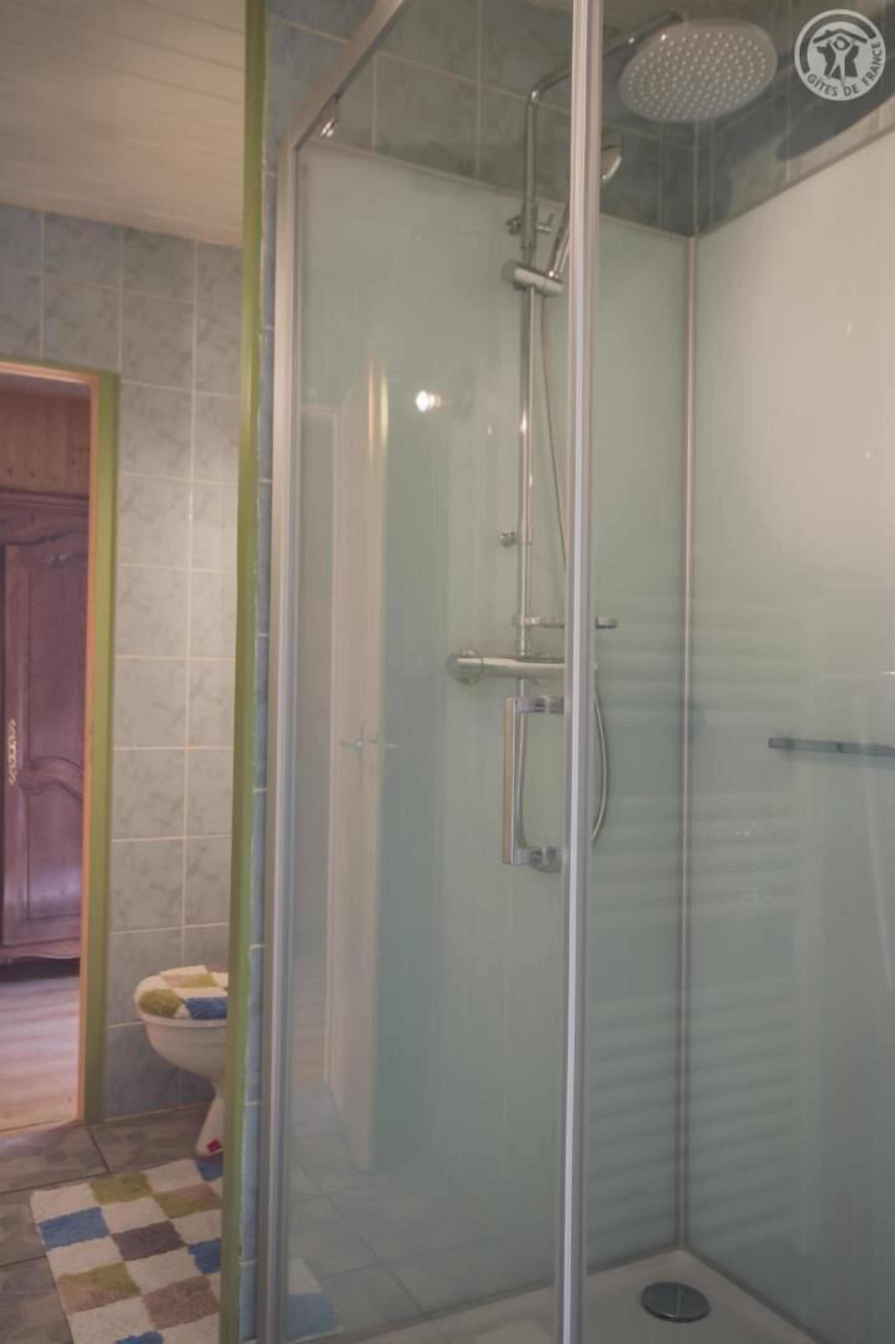 A glass-enclosed shower stall with a handheld showerhead and a handheld faucet.