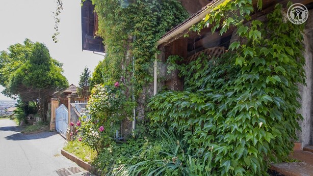 A building with a rustic facade partially covered in ivy and climbing plants, a gated entrance, and a view of the street. - LA TARINE N°8 - PALLUD (PALLUD)