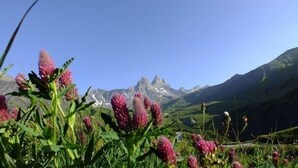 A mountainous landscape with prominent peaks and foreground vegetation.