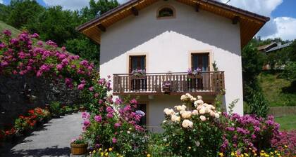LES PIVOINES - LA PLAGNE TARENTAISE