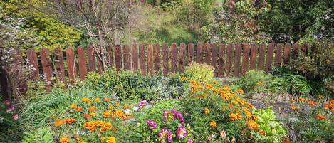 Jardines del alojamiento