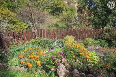 LES PIVOINES - LA PLAGNE TARENTAISE