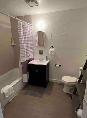 Hair dryer, towels, soap, toilet paper - Bright and spacious Drake apt. (Des Moines)