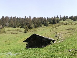 Exterior - CHALET PRANA - HAUTELUCE (HAUTELUCE)