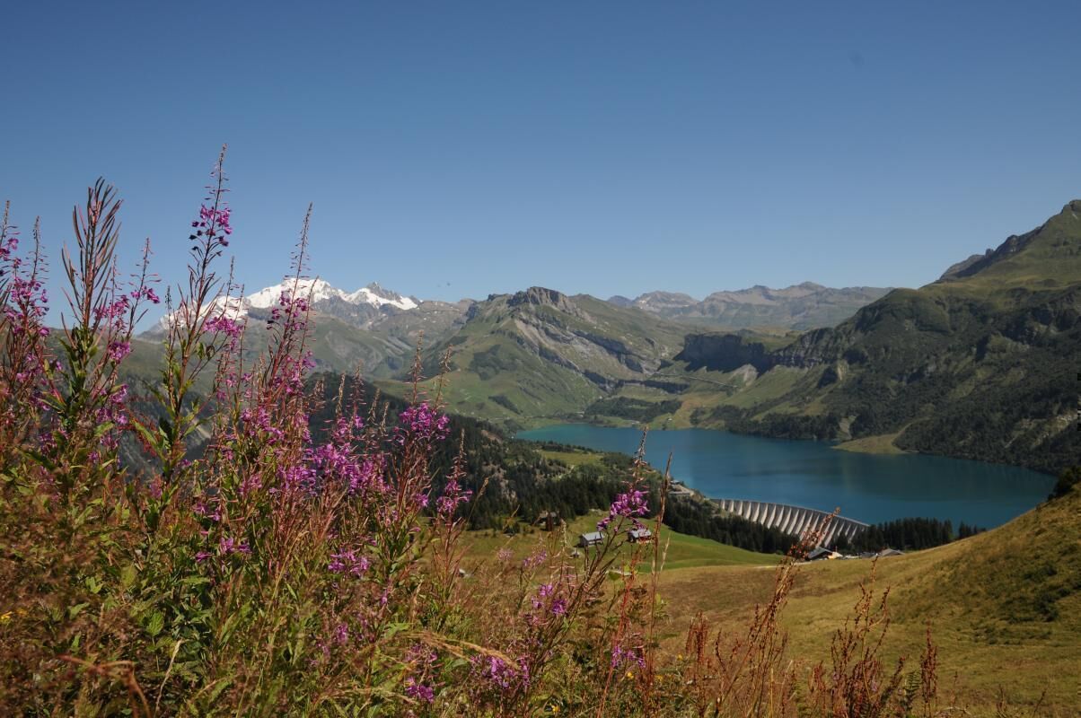 Un paysage montagneux avec un lac et un barrage.