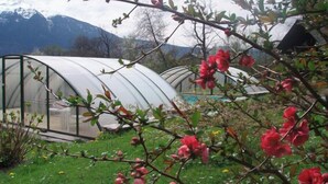 A greenhouse with a curved roof, surrounded by blooming pink flowers and green grass. - LA GRIVE - CLERY - Gîte (CLERY)
