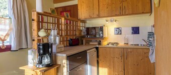 THE LITTLE SONG THRUSH