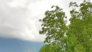 Uklassifisert bilde, 5 av 28, knapp