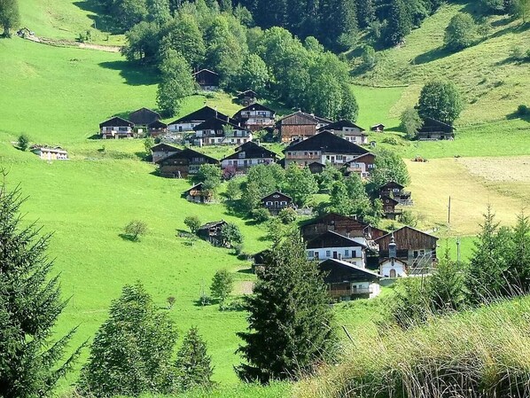 Esterni
