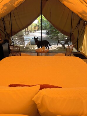 2 bedrooms, bed sheets