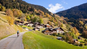 A mountain village with traditional wooden houses, a cyclist on a road, and a hilly landscape. - LA TARINE N°3 - PALLUD (PALLUD)