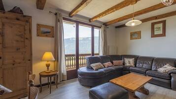 Télévision, cheminée, lecteur de DVD, chaîne hi-fi