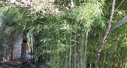 GITE DE L'ECOLE - NIVEOLE