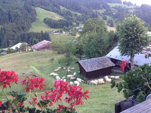 Property grounds - CHALET LE SOLLY - FLUMET (FLUMET)