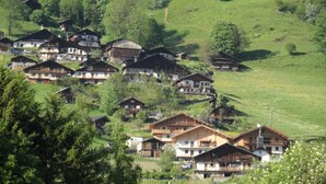 Eine Ansammlung traditioneller Holzhäuser auf einem Hügel, umgeben von üppiger Vegetation.