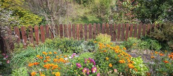 LES PRIMEVERES - LA PLAGNE TARENTAISE