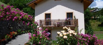 LES PRIMEVERES - LA PLAGNE TARENTAISE