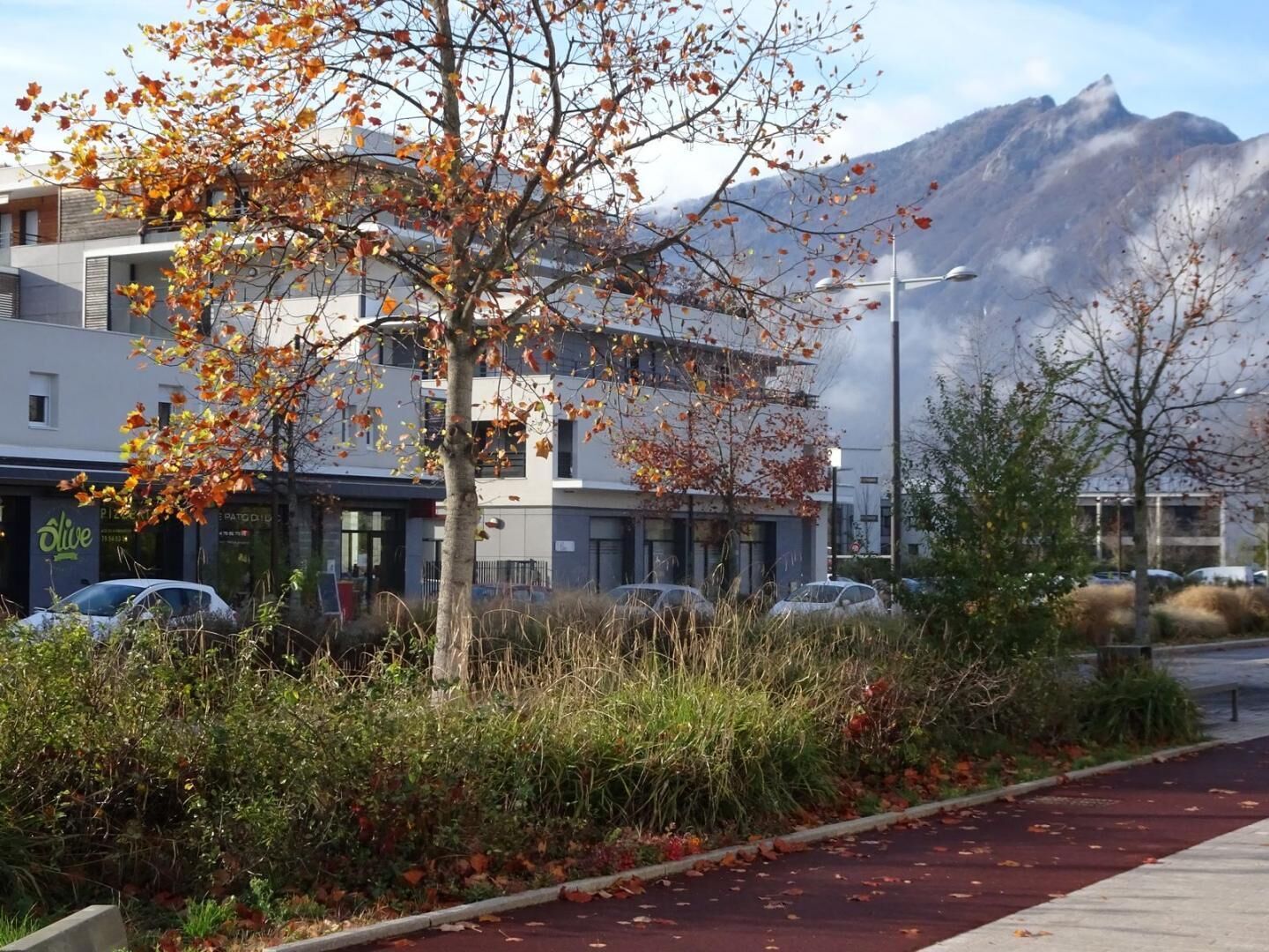Un edificio moderno con un restaurante llamado "Olive" en la planta baja, rodeado de follaje otoñal y una montaña al fondo.