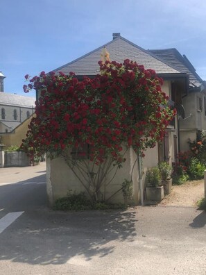 Terrain de l’hébergement 