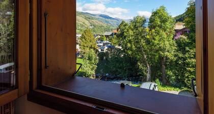 BLUE THISTLE - ROCK THISTLE