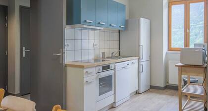 LE MERLET - SAINT ALBAN DES VILLARDS