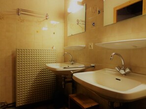 Shower, hair dryer