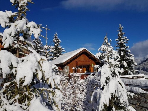 ERABLE - MERIBEL LES ALLUES