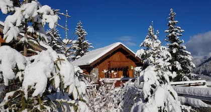 ERABLE - MERIBEL LES ALLUES