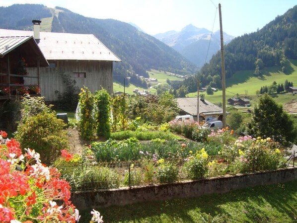 Terrain de l’hébergement 