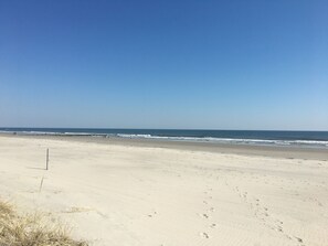 Sun-loungers - Cozy and Roomy Beachside Bungalow in Sea Isle (Sea Isle City)