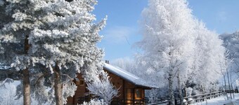 LES TROLLES - AIME LA PLAGNE