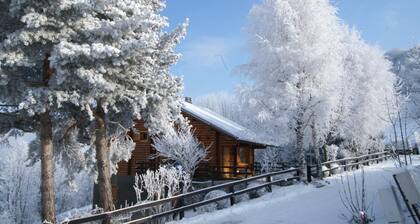 LES TROLLES - AIME LA PLAGNE