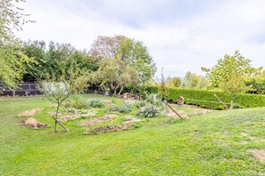A garden with various plants and a small structure.