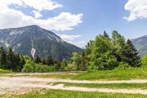 A mountainous landscape with a clear sky, a dirt path, and dense forest.