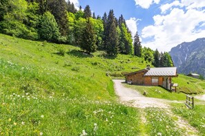 Terrain de l’hébergement 