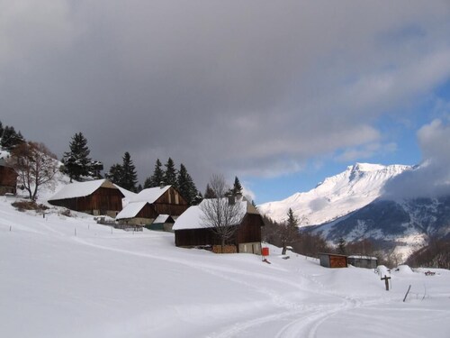 LE NIZERAN n°1 - SAINT FRANCOIS LONGCHAMP