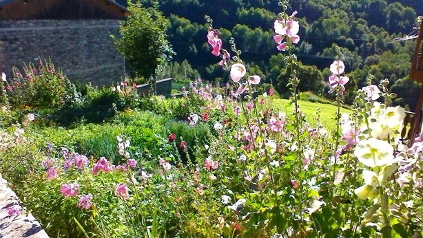 A garden with various flowers and a stone wall in the background. - LES RUFFES - LES BELLEVILLE (LES BELLEVILLE)