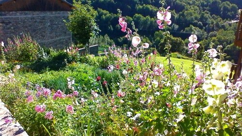 LES RUFFES - LES BELLEVILLE