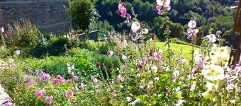 LES RUFFES - LES BELLEVILLE