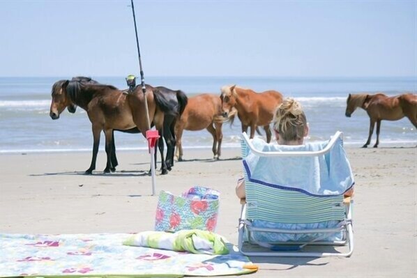 On the beach