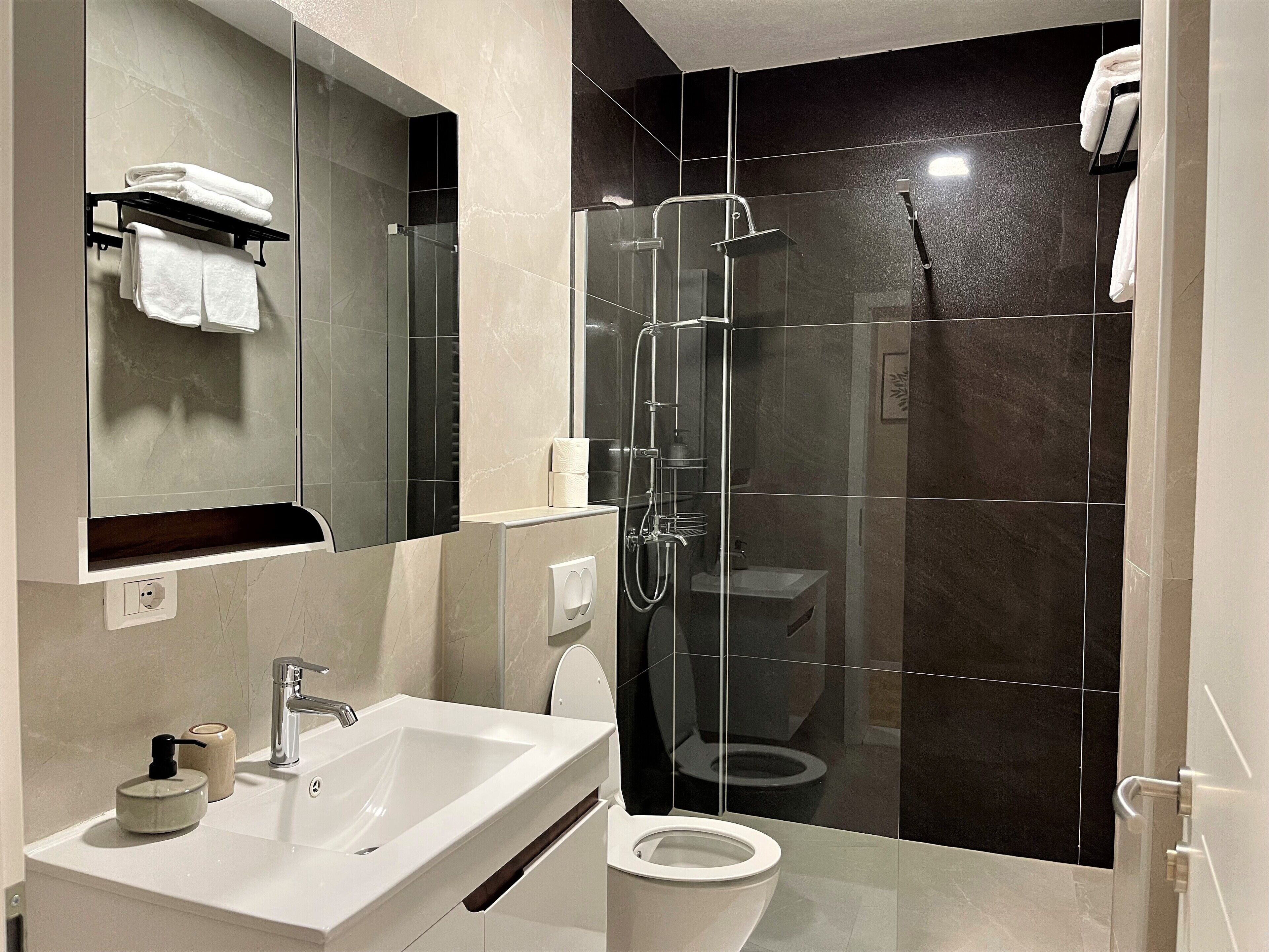A modern bathroom with a glass-enclosed shower, a white sink, and a toilet.