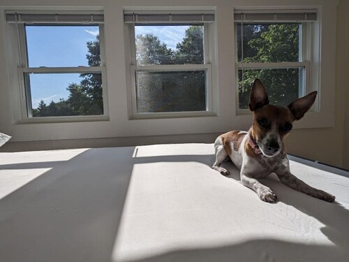 Discounted Stays | 2BR | Dog-Friendly | King | A/C